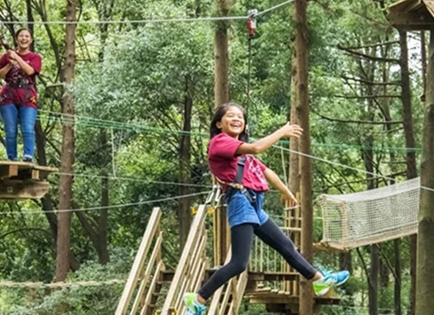 FOREST ADVENTURE YOSHINOGARI