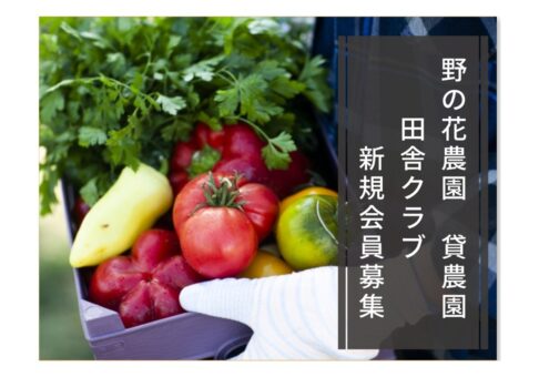 【お知らせ】《野の花農園》田舎クラブからのお知らせ！！